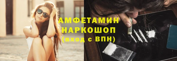 мдпв Гусь-Хрустальный