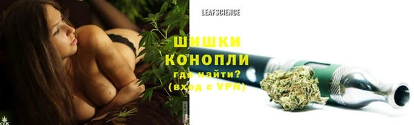 мдпв Гусь-Хрустальный