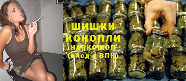мдпв Гусь-Хрустальный