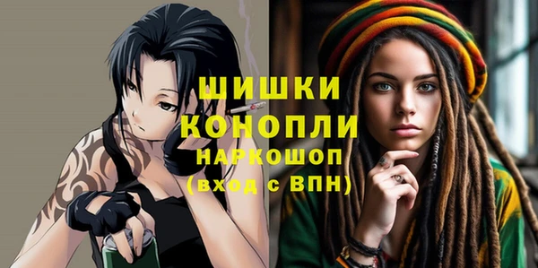 мдпв Гусь-Хрустальный
