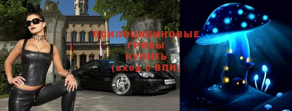 мдма Гусиноозёрск