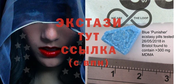 мдпв Гусь-Хрустальный