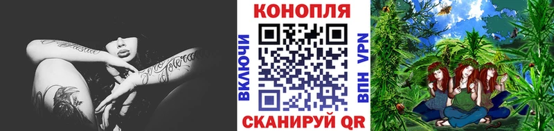 Купить  Шебекино  Бошки марихуана ГИДРОПОН 